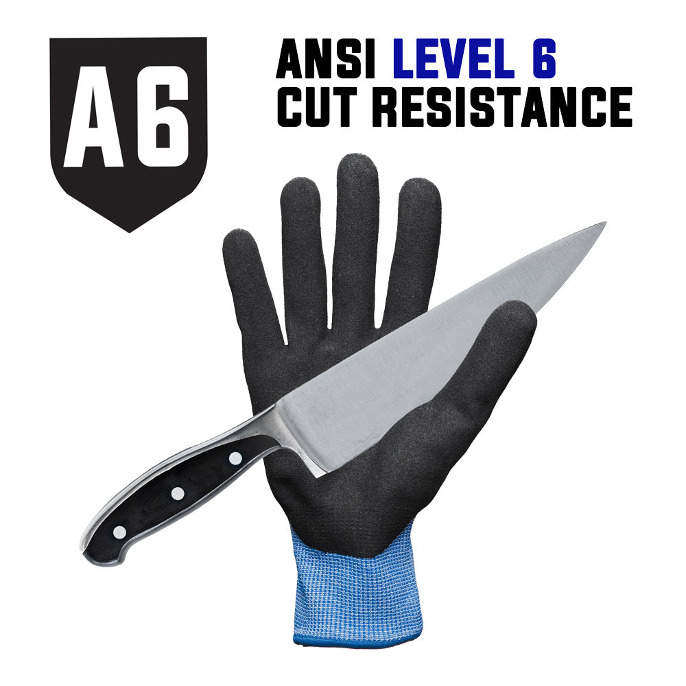 A6-Graphic.jpg