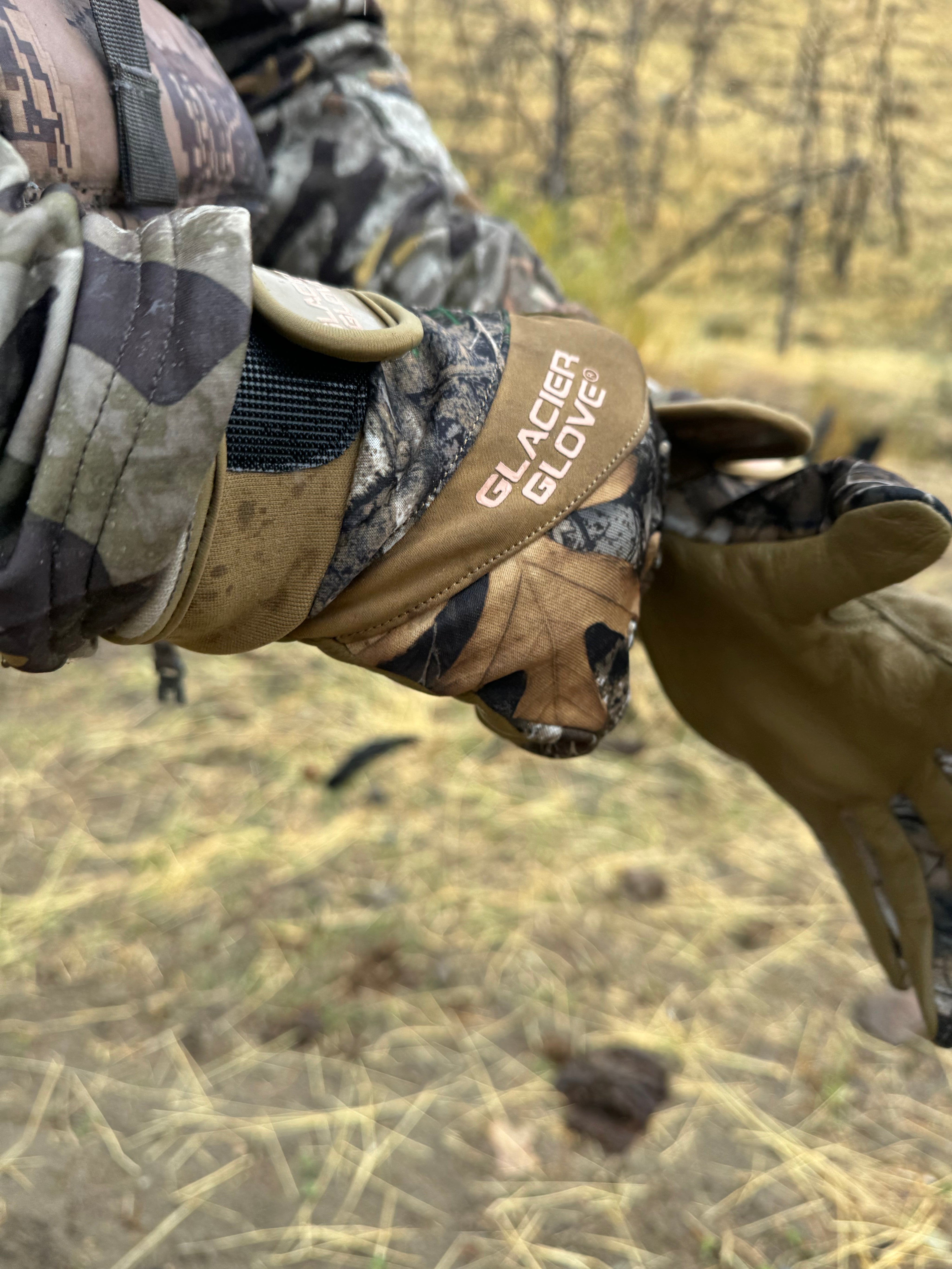 Guide Glove