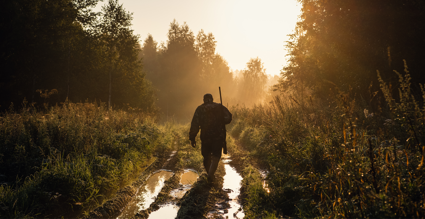 Hunter with rifle walking down a forest path