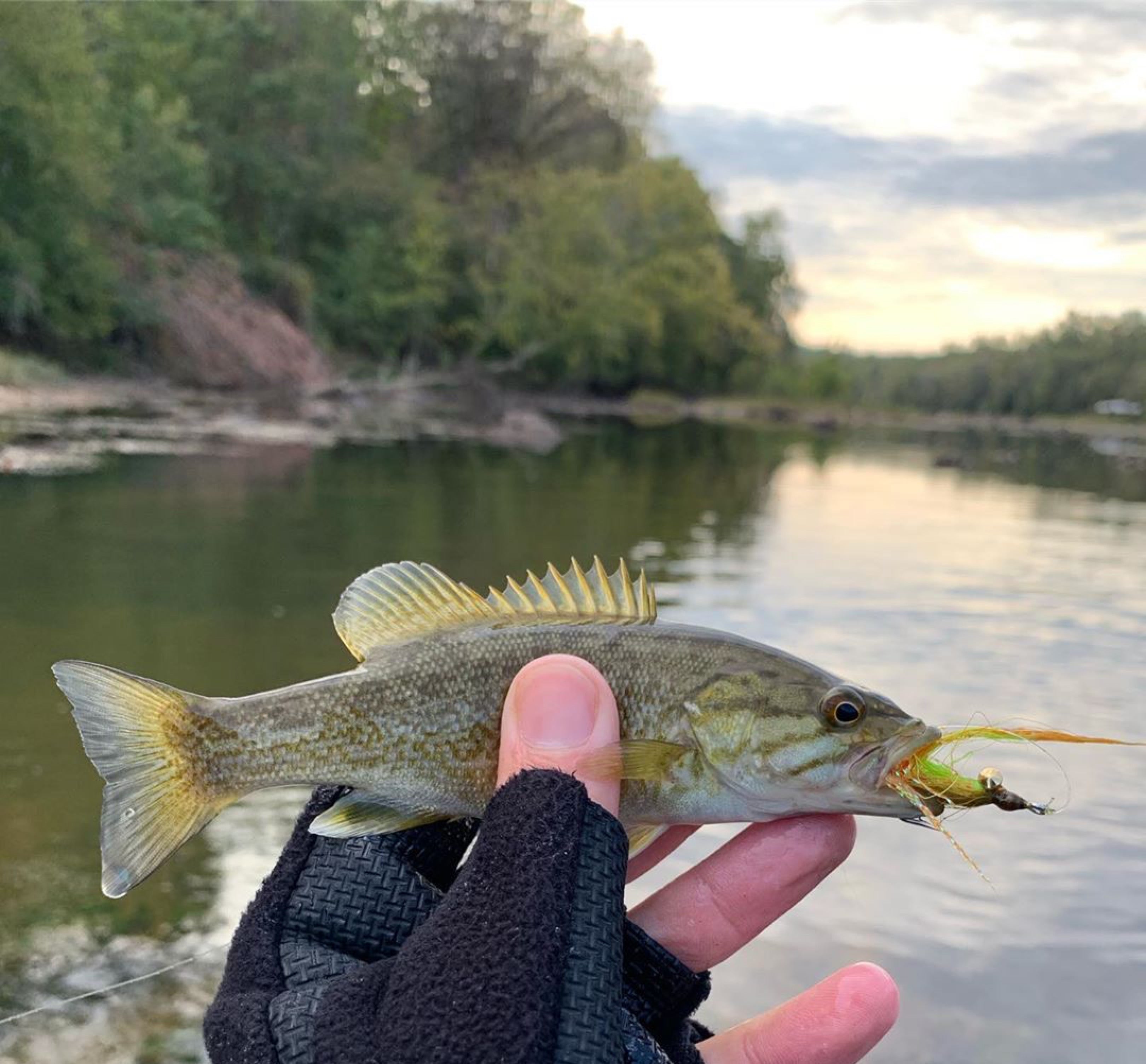 Alaska River™ Series Flip Mitt