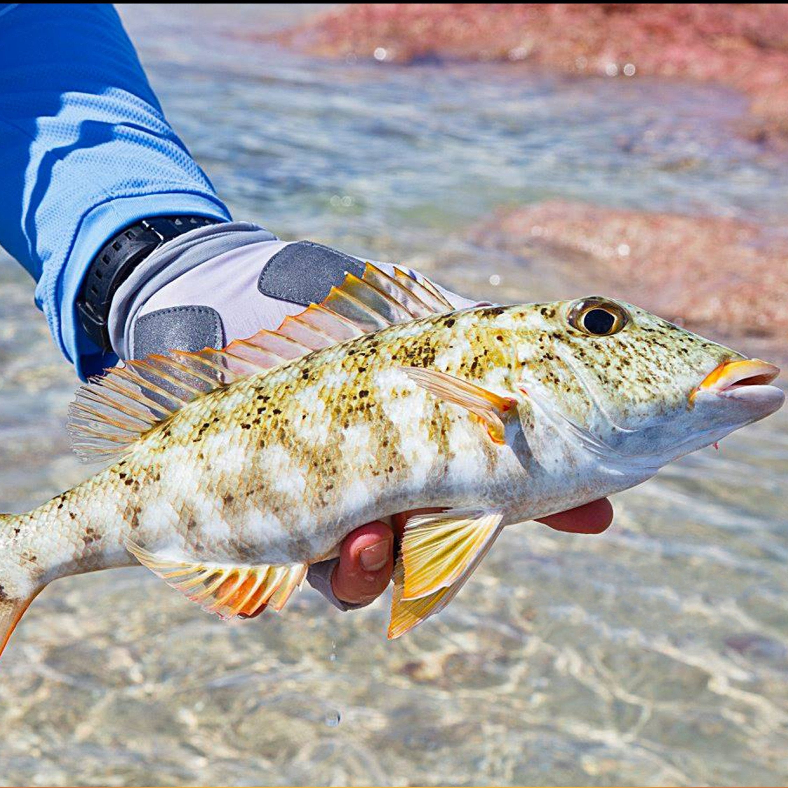 Islamorada Sun Glove – Glacier Outdoor